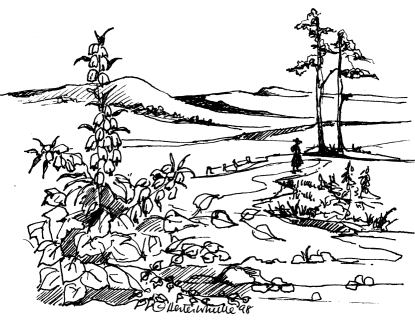 Heading drawing for Chapter 1 (27K)
